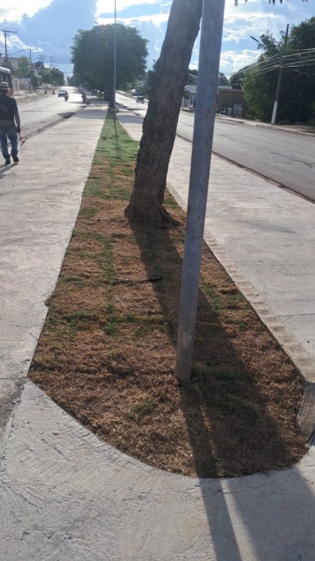 Avenida 14 de Março recebe manutenção… Avenida 14 de Março recebe manutenção…