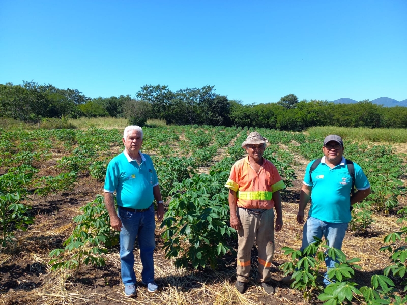 25 de maio: dia do Trabalhador Rural
