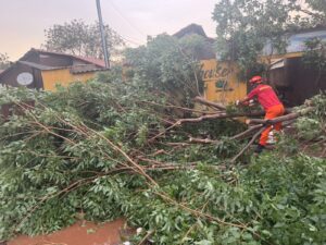 Defesa Civil de Corumbá registra ventos de até 87 km/h, chuva intensa e 23 ocorrências Defesa Civil de Corumbá registra ventos de até 87 km/h, chuva intensa e 23 ocorrências