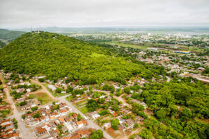 Corumbá apresenta Plano de Arborização Urbana em audiência pública em outubro Corumbá apresenta Plano de Arborização Urbana em audiência pública em outubro